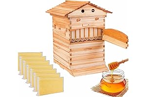 Flow Hive Super - Sleek & Sustainable Beekeeping