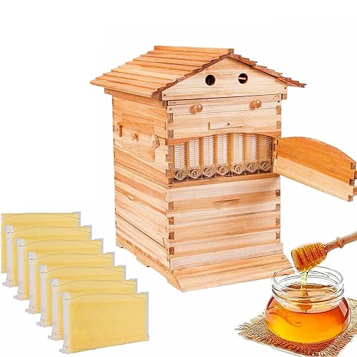 Bee Hive - Kit completo de colmena de colmena con 7 marcos de miel para apicultor profesional principiantes
