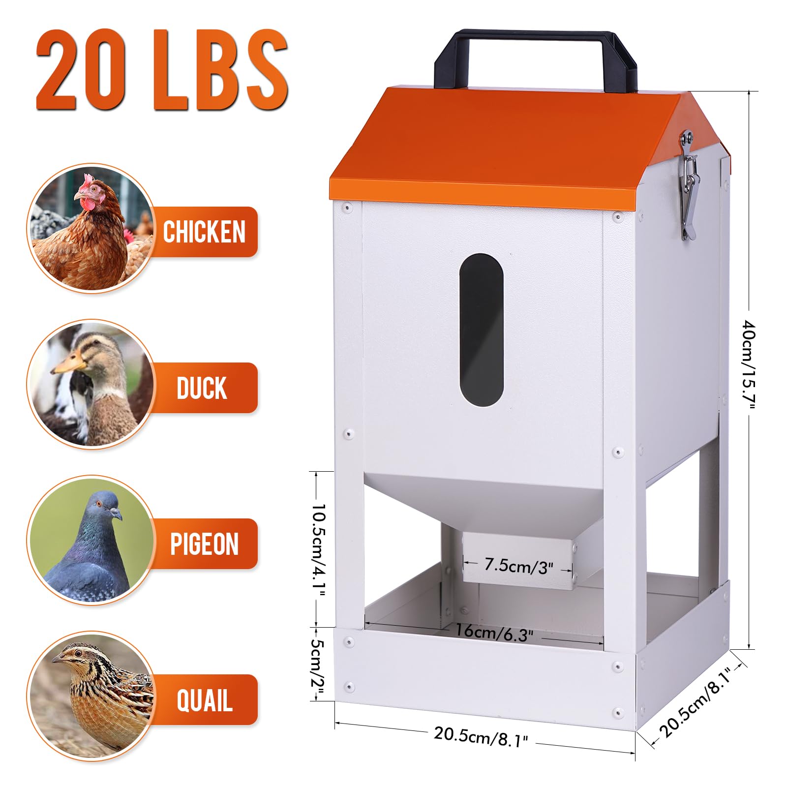 https://m.media-amazon.com/images/I/71URaKkxsKL.jpg