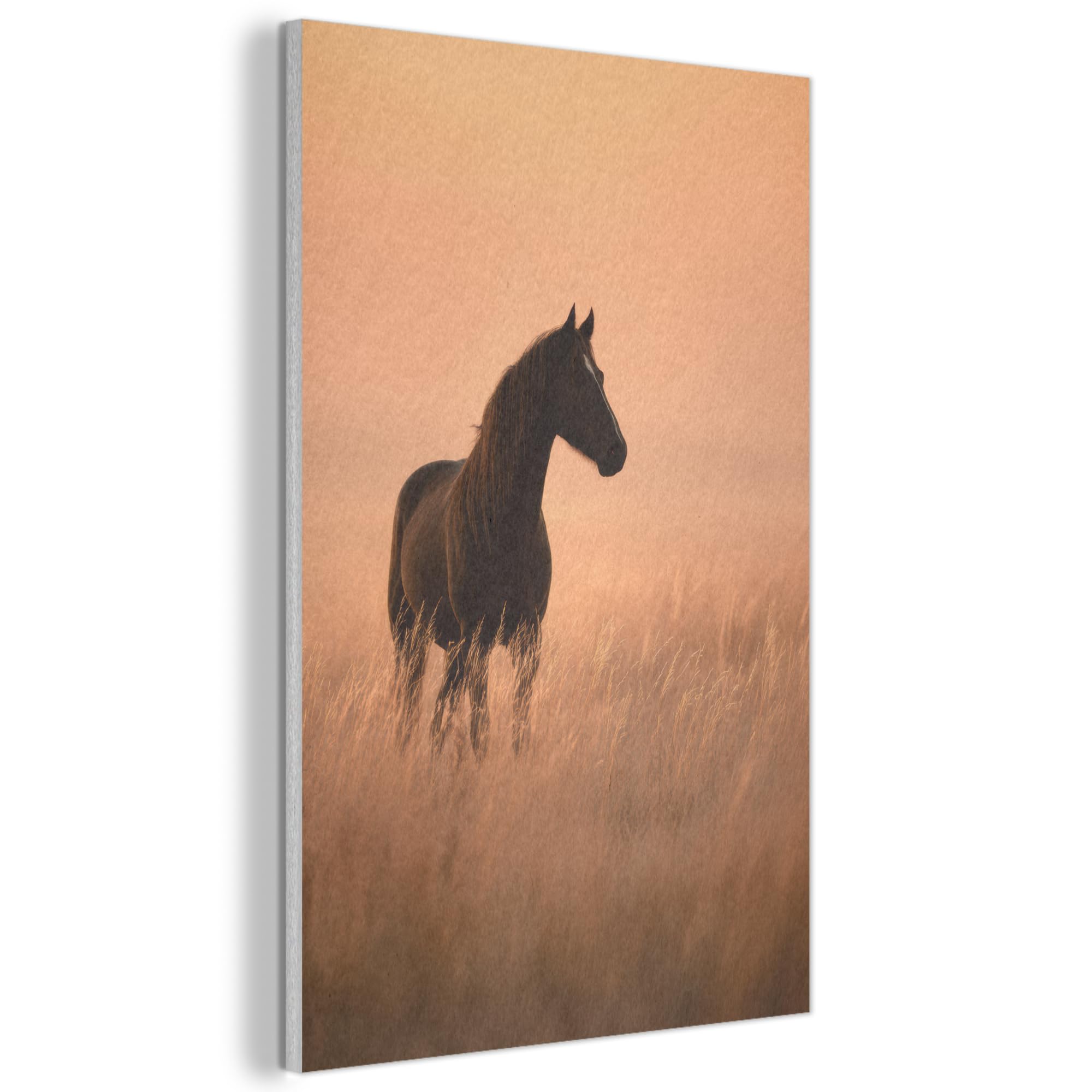 MuchoWow© Felt Panel 40x60 cm Room Style Piece Wallfillers Visual Display Decoration Wall Art Horse - Lawn - Sunset
