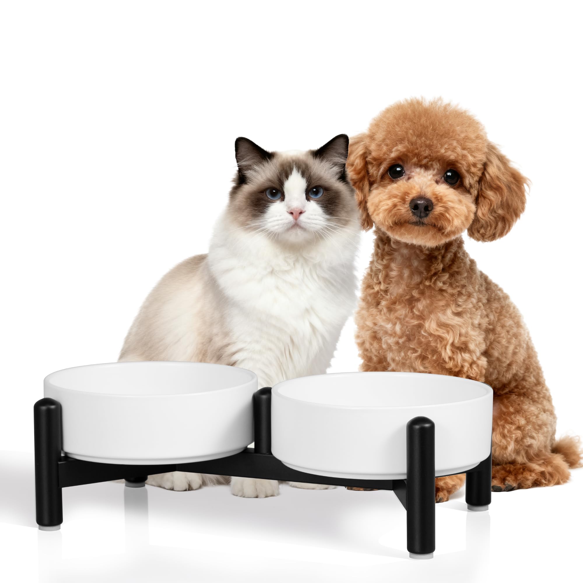 Raised Ceramic Dog Bowl Set - Elevated Double Dishes with Stainless Steel Stand - Food and Water Bowls for Small Dogs and Indoor Cats - Each Holds 2.1 Cups (14 fl oz) - White