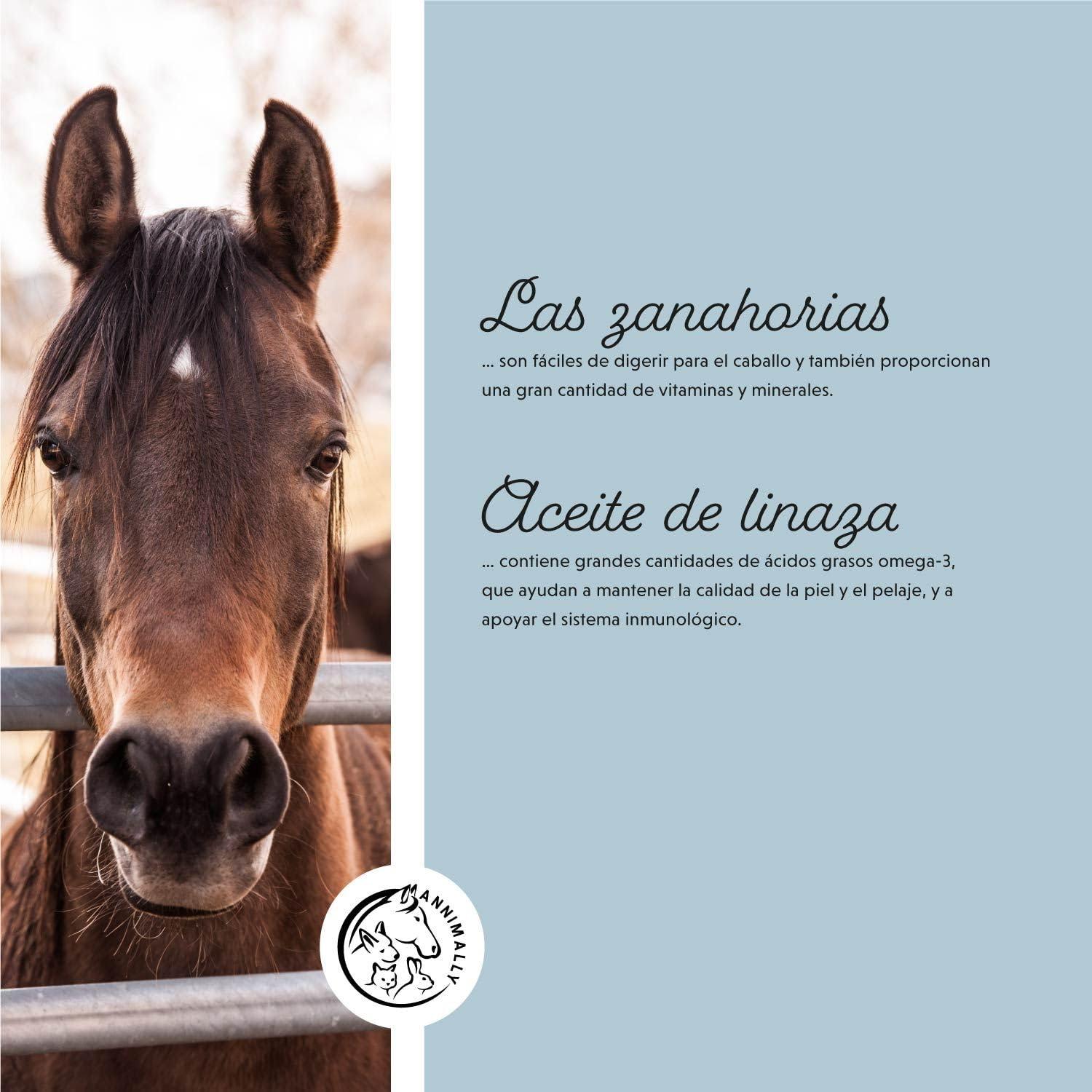 Annimally Selenio, Vitamina E, L-Lisina en Polvo para Caballos 800g - Complejo de Vitamina E, L-Lisina y Selenio para apoyar la Musculatura y el Rendimiento - Suplemento alimenticio para Caballos