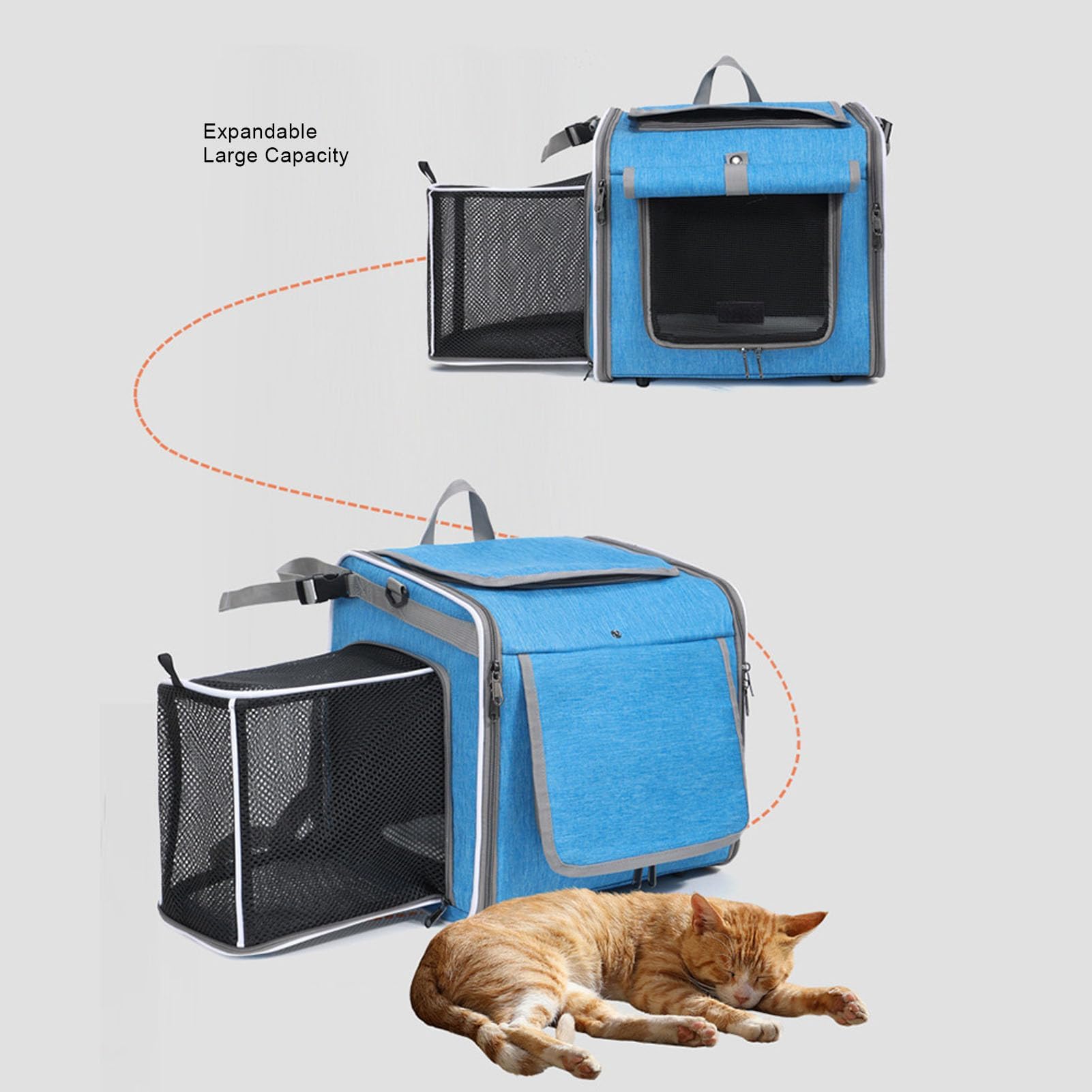 Borsa da trasporto per animali domestici di alta qualità per il controllo degli accessi Cult Devotion 2018-2026, cestino staccabile per manubrio della bicicletta, elegante stile minimalista