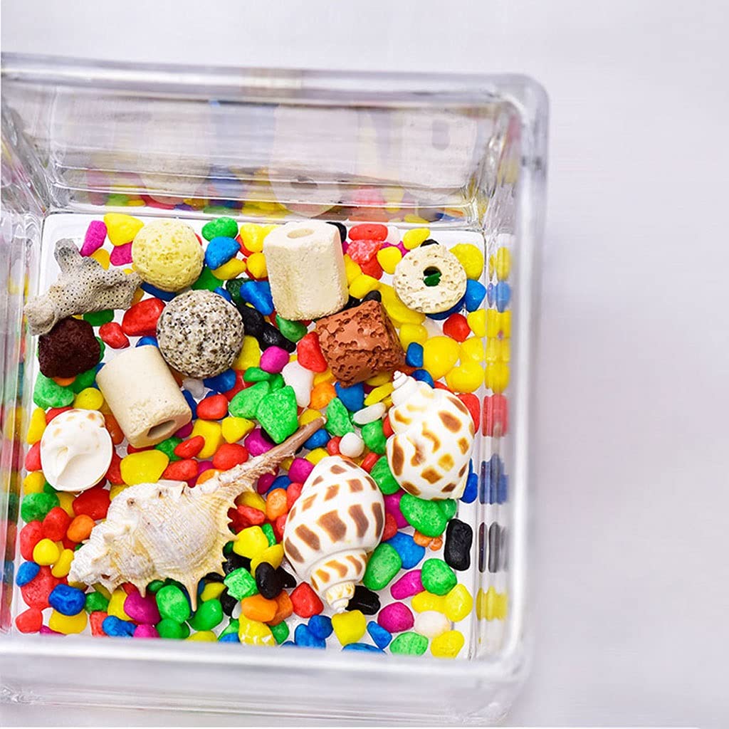 Acquario Desktop quadrato in vetro trasparente mini ufficio for la casa acquario for pesci acquario acquario acquario Betta pesci pesci ornamentali piccoli acquari Acquario per Pesci(5.91IN)