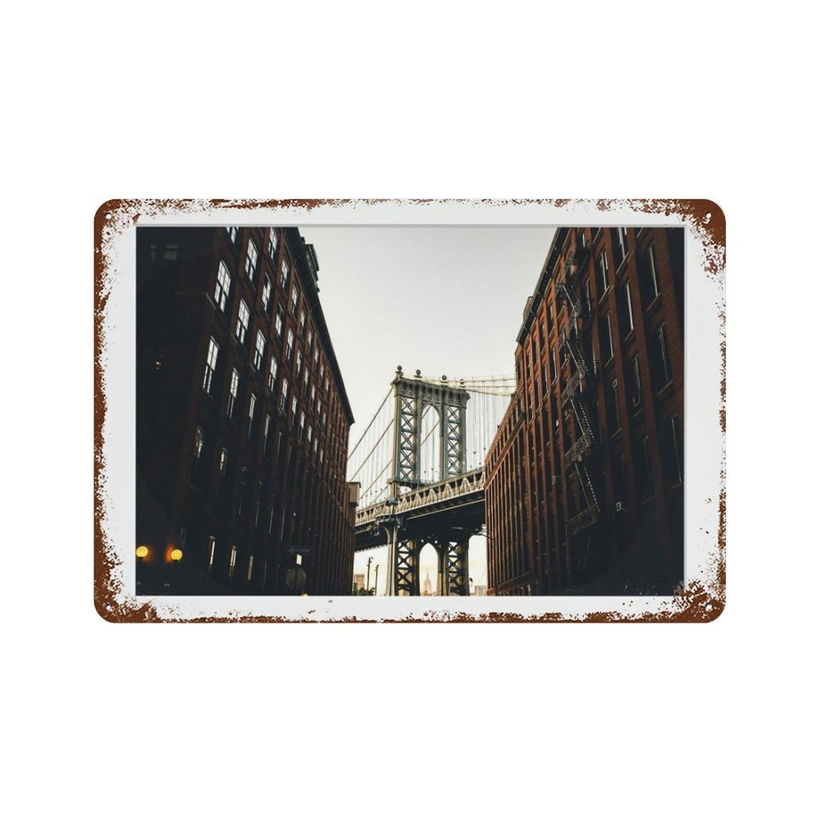 xiaoxiaoshen Dumbo, Photography S1 Wall Decor Art Metal Tin Poster Modern Home Decor Art Home Bar Shop Decorations Vintage Sign 20x30cm