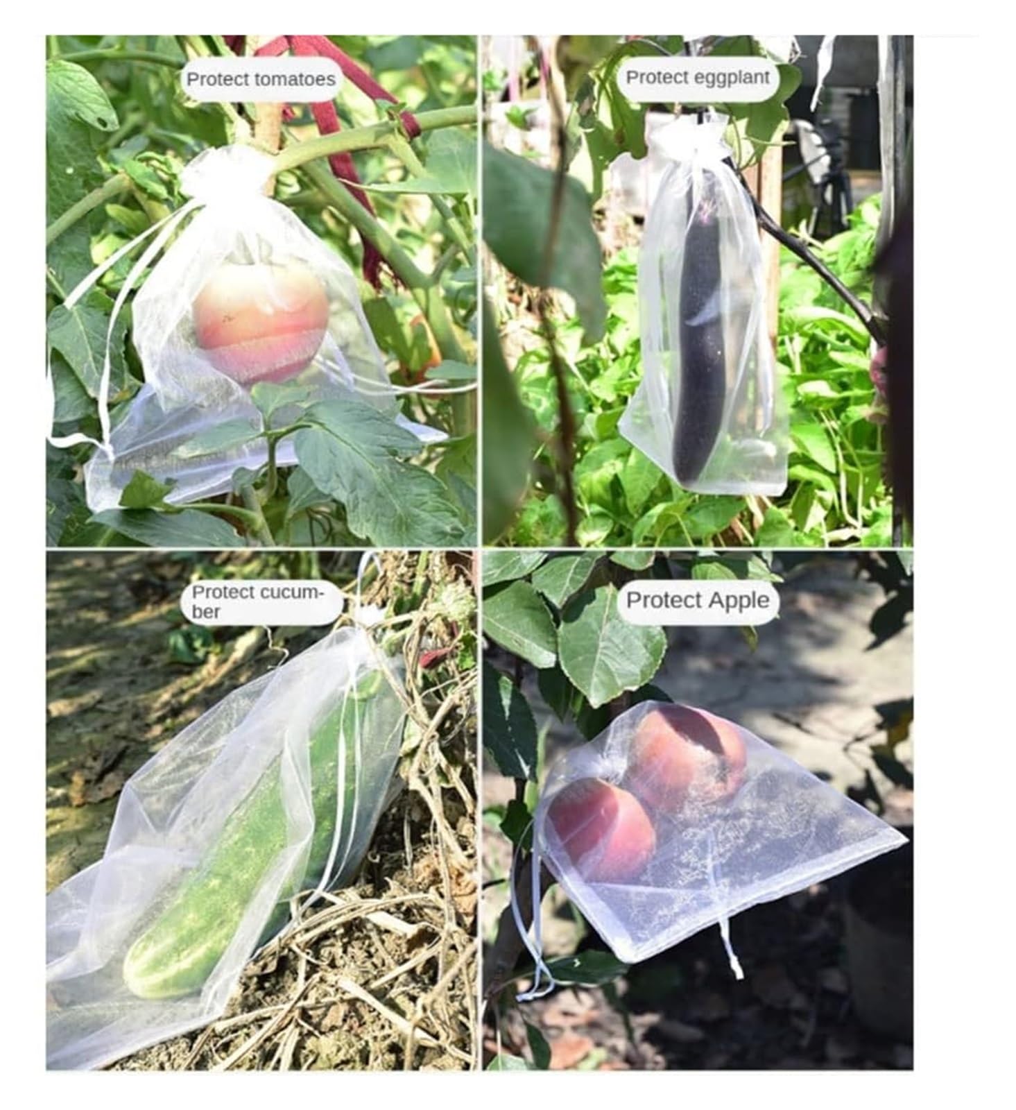 Bolsas Protectoras contra Insectos para Uvas, Bolsa de Malla a Prueba pájaros for Control plagas y Verduras, 50 Unidades, for Fresas, Uvas huertos(20x30cm)