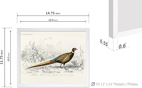 Miniatura 140 de Poster Master Póster vintage de flamenco americano, estampado retro de flamenco rosa, arte de pájaro, regalo para él, ella, amante de los animales,