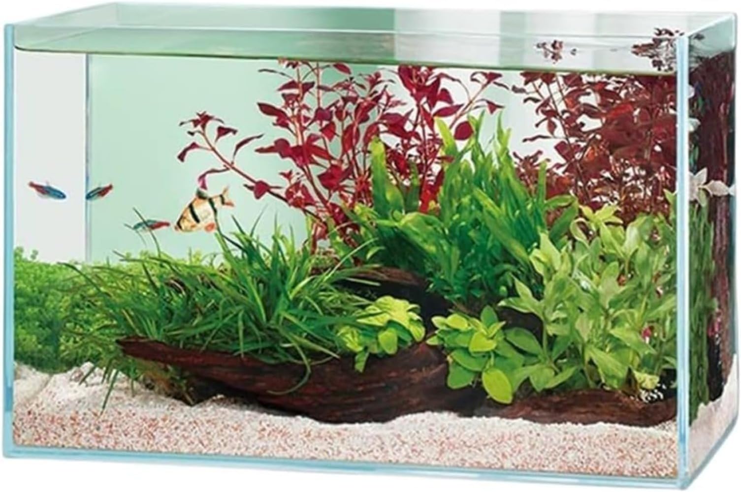 ユニーク な形状のガラス製 花瓶 花器 金魚鉢 メダカ鉢 です