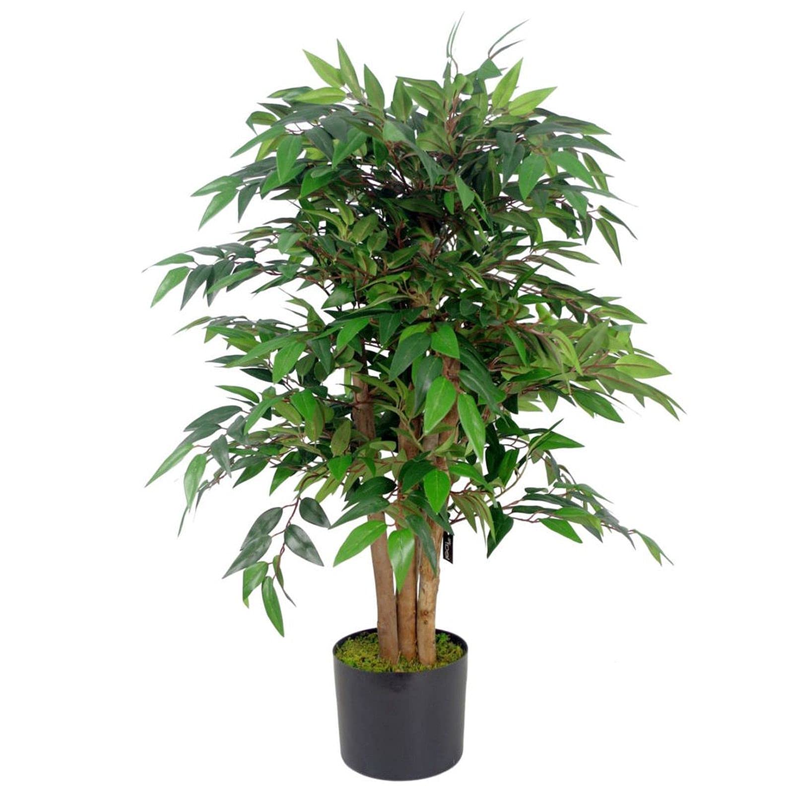Leaf AZ-FICUS - Árbol de ficus Artificial Realista, 90 cm, árbol Similax