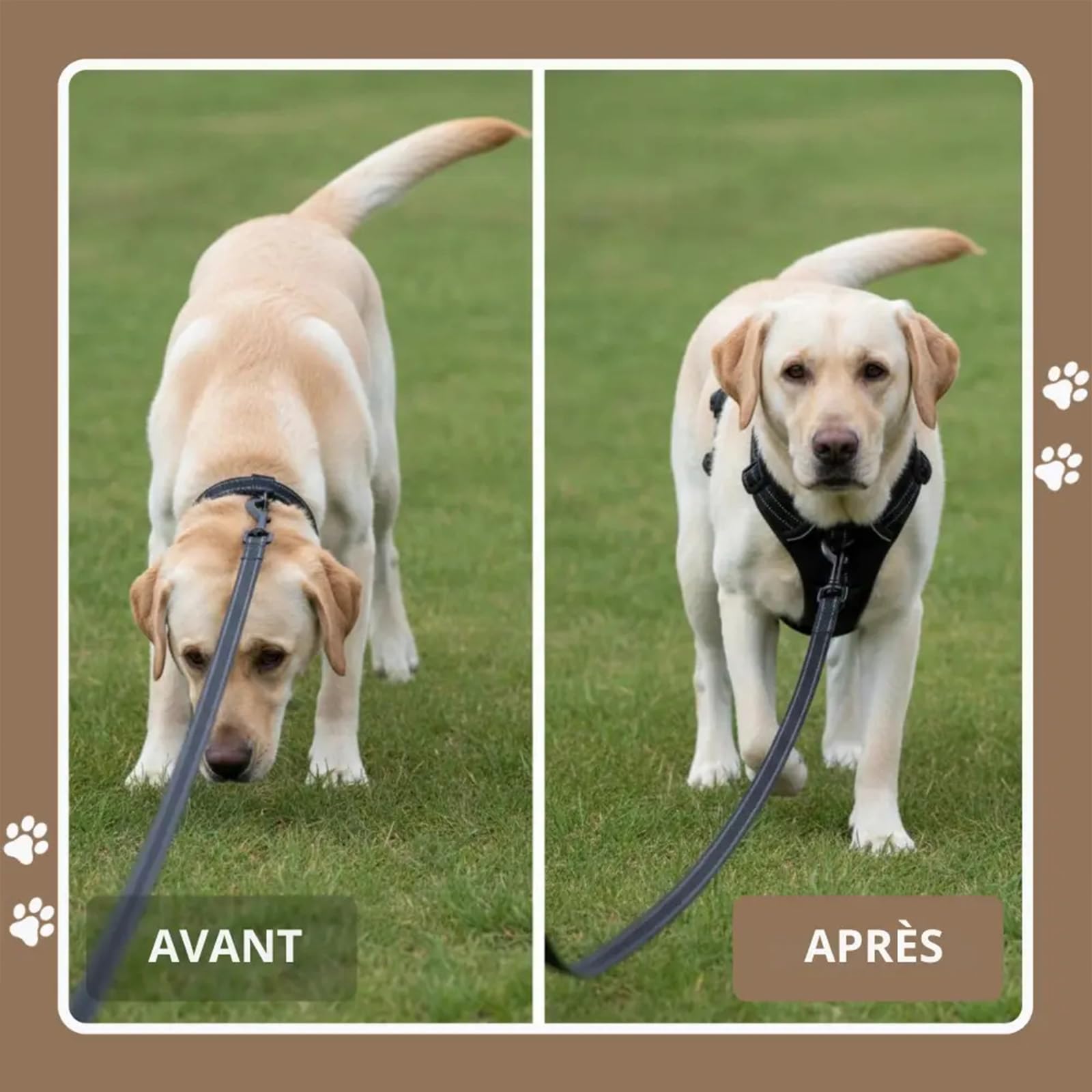 Harnais Elyo Anti Traction pour Chien – Harnais Réglable et Respirant avec Double Attache Avant et Arrière, Bandes Réfléchissantes et Poignée de Contrôle pour Promenades Quotidiennes (XL)