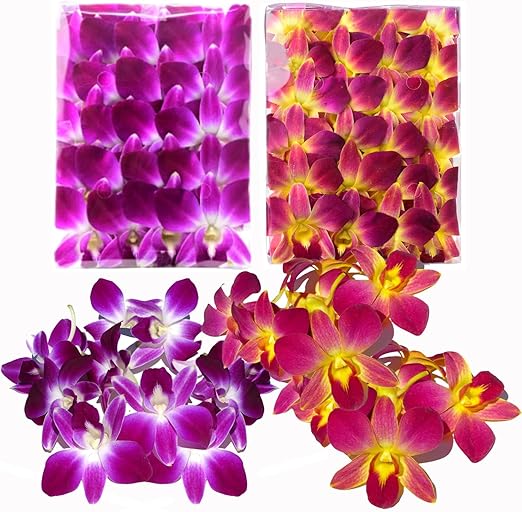 Miami Fresh Orchid Flower OrchidClub USA Sunne Tropical Loose Bloom DIY Lei, food & drink decoration (100 PURPLE YELLOW)