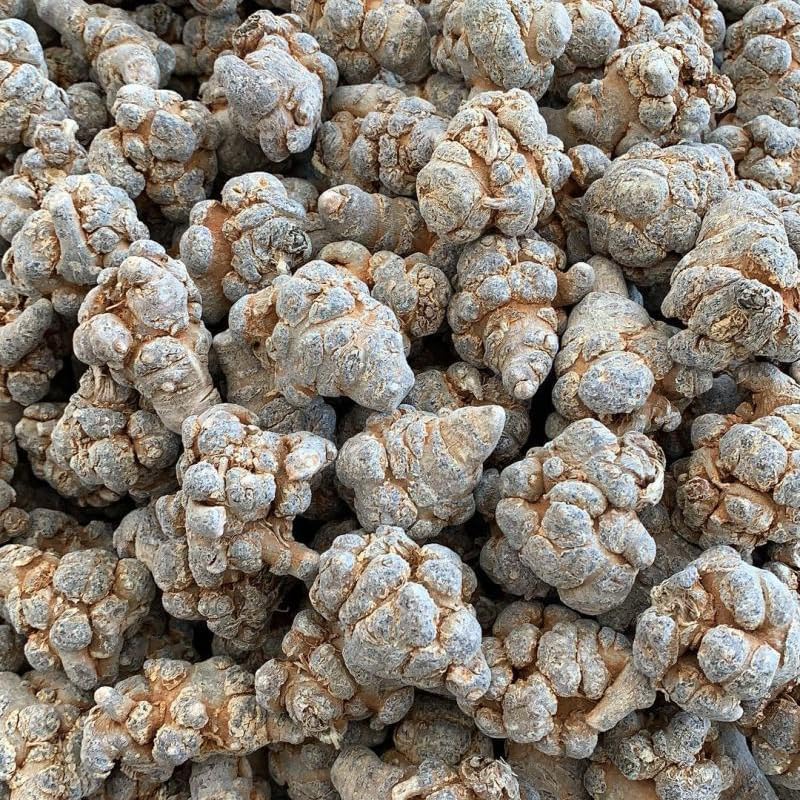 Miniatura 2 de Polvo puro de Tienchi Pseudoginseng Notoginseng Sanqi en polvo, 150g (5.3oz)