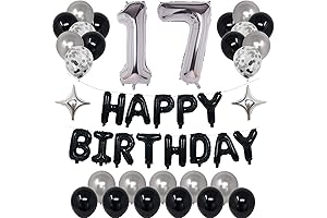 17th Black Silver Birthday Decorations for Boys Girls