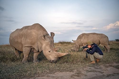Miniatura 11 de Nikon D6 FX-Format - Cuerpo de cámara SLR digital, color negro
