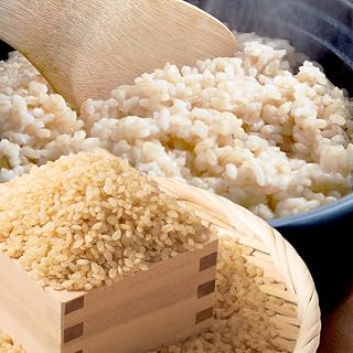 さがびより 令和7年産 佐賀県産 10kg 玄米【16年連続 特A評価】B-21