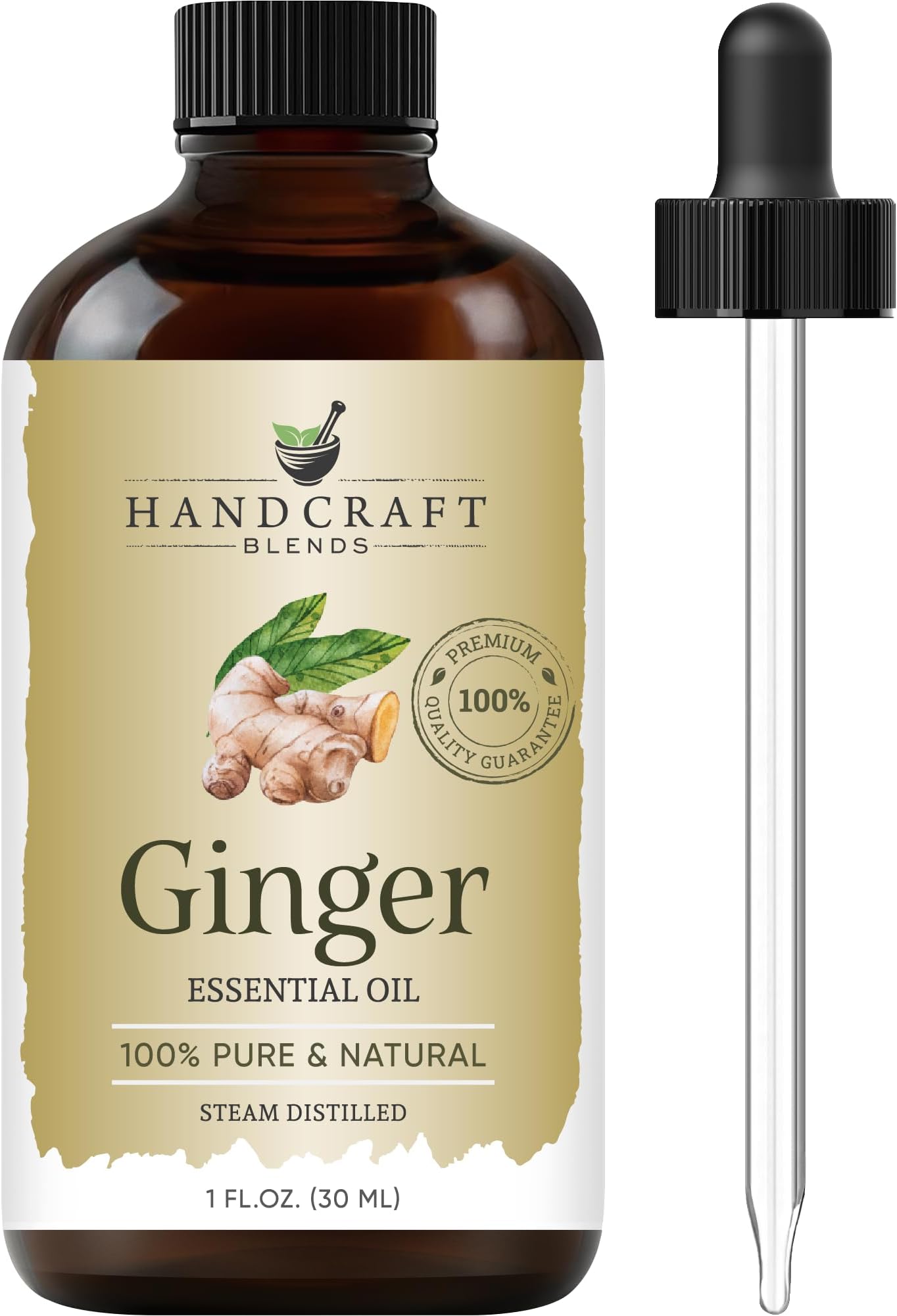 Handcraft Blends Ginger Essential Oil – 1 Fl Oz – 100% Pure and Natural – Premium Grade Essential Oil for Diffuser and Aromatherapy, Skin, Massage, Candle and Soap Making Fragrance
