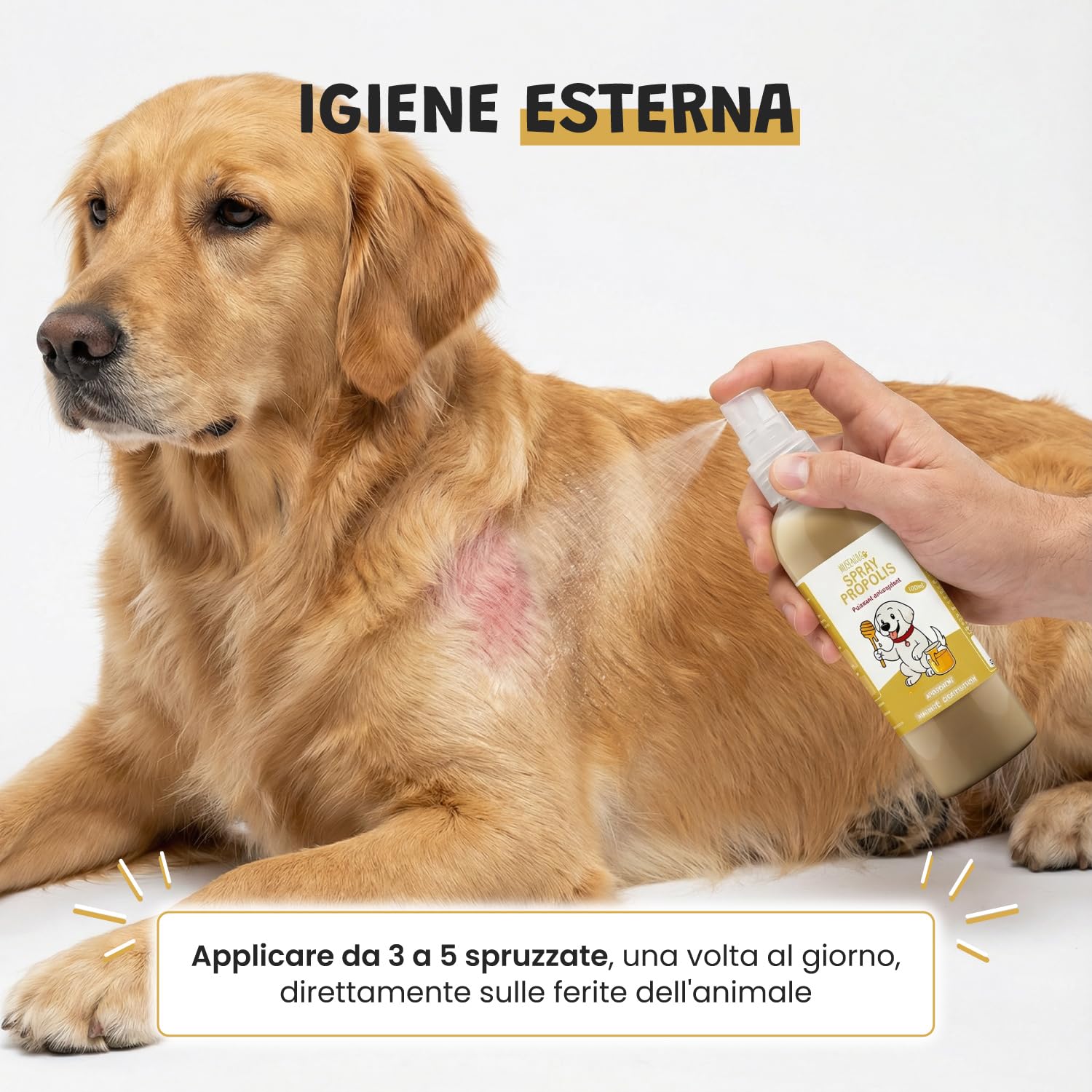 Spray Propoli Pura 100ml per Cani e Gatti | Igiene Orale, Placca & Alito Cattivo | Antibatterico & Antifungino Naturale | Senza Alcool | 3-4 Spruzzi 2-3x Settimana | Museau & Co