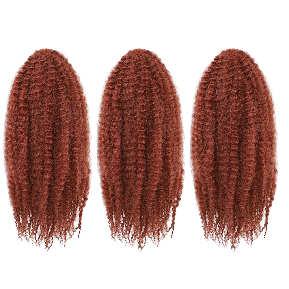 Amazon.com : Dansama Marley Hair, 3 Packs Curly Crochet Braids for Marley  Twist Braiding Hair, #350 Braids for Faux Locs Hair Synthetic Hair  Extensions (18 Inch (Pack of 3), #350) : Beauty & Personal Care