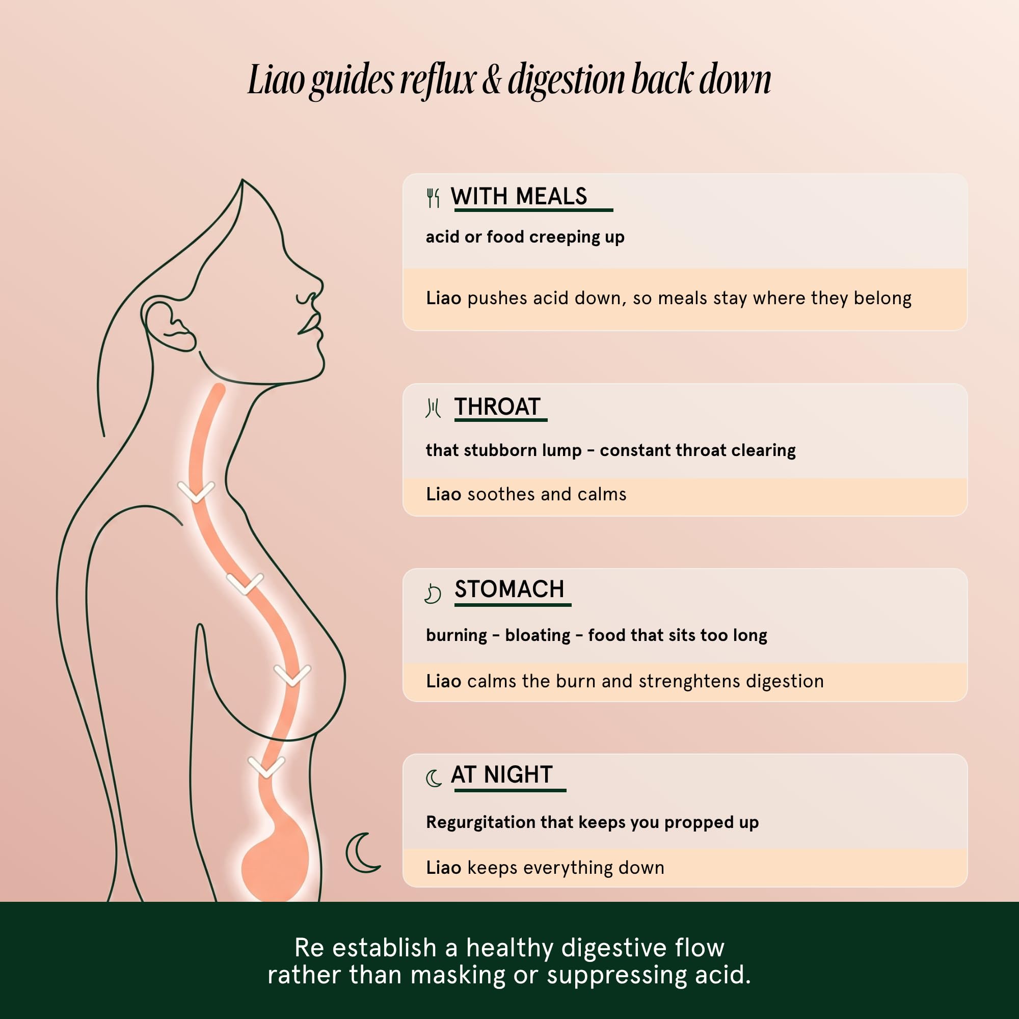 Liao Reflux Relief Herbal Medicinal Syrup, Acid Reflux & Heartburn Support — Amazon image 2