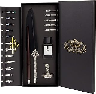 Calligraphy Set for Beginners, Wooden Dip Pen, Feather Quill, 19 Nibs, I...