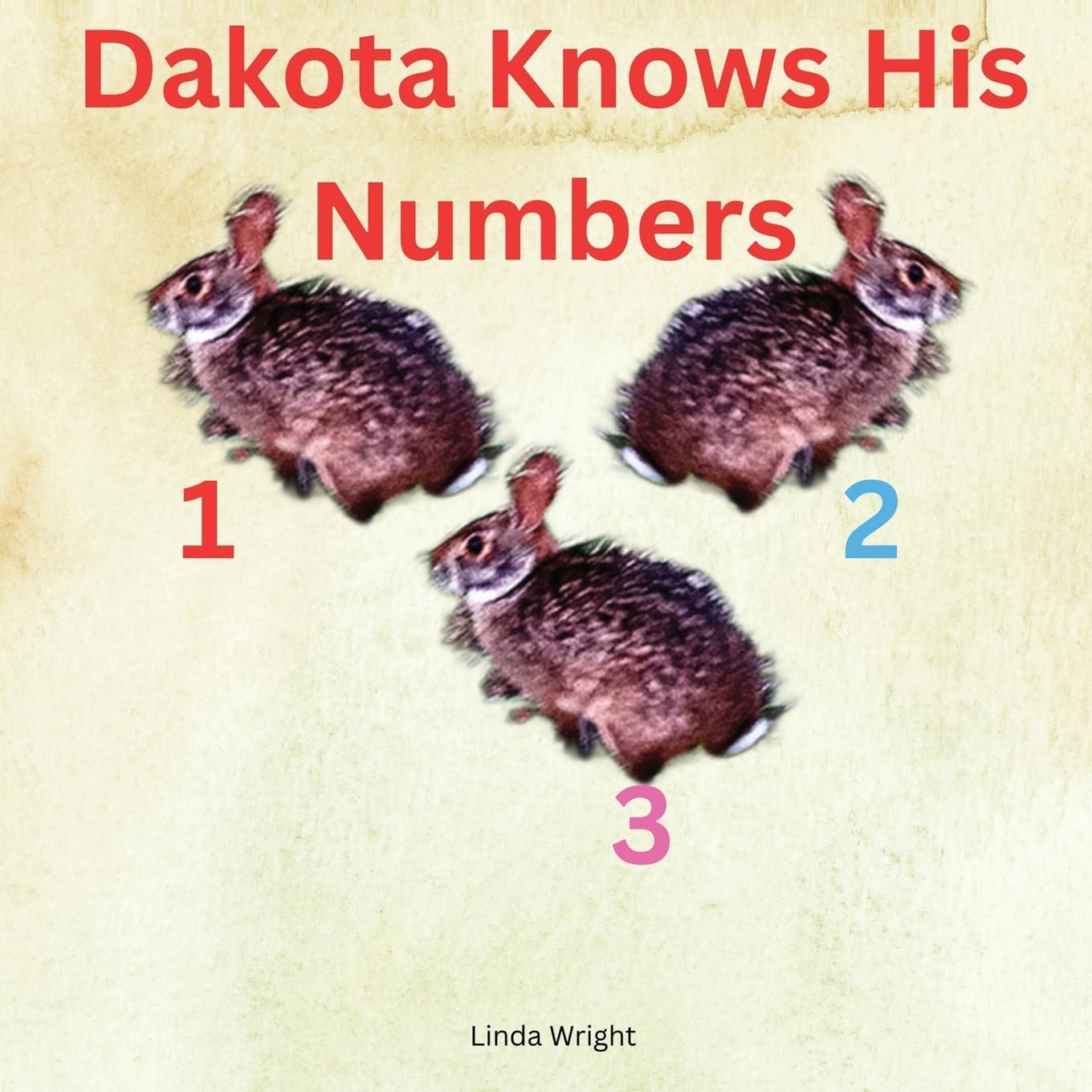 Dakota Knows His Numbers 123