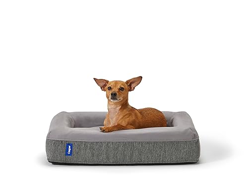 Casper Plush Memory Foam Dog Bed — Large, Gray