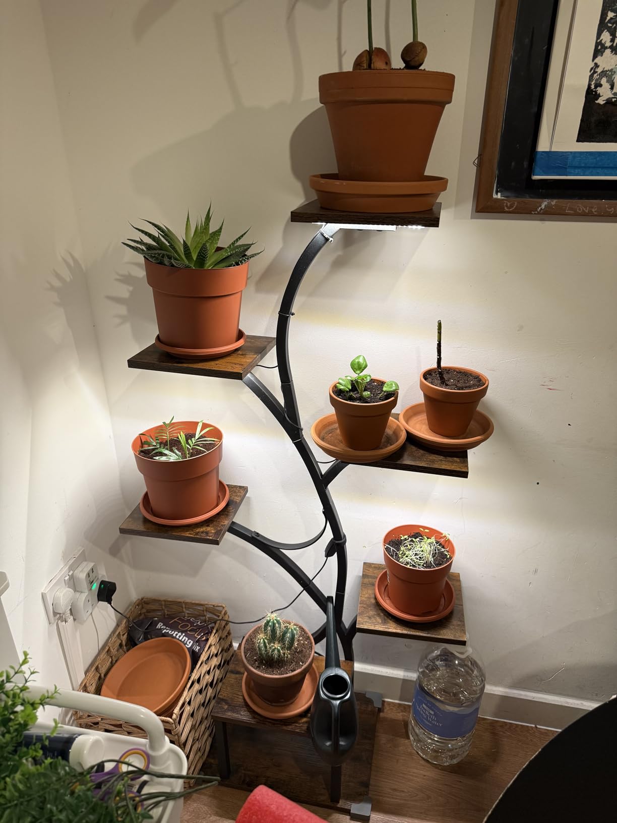 Customer photo