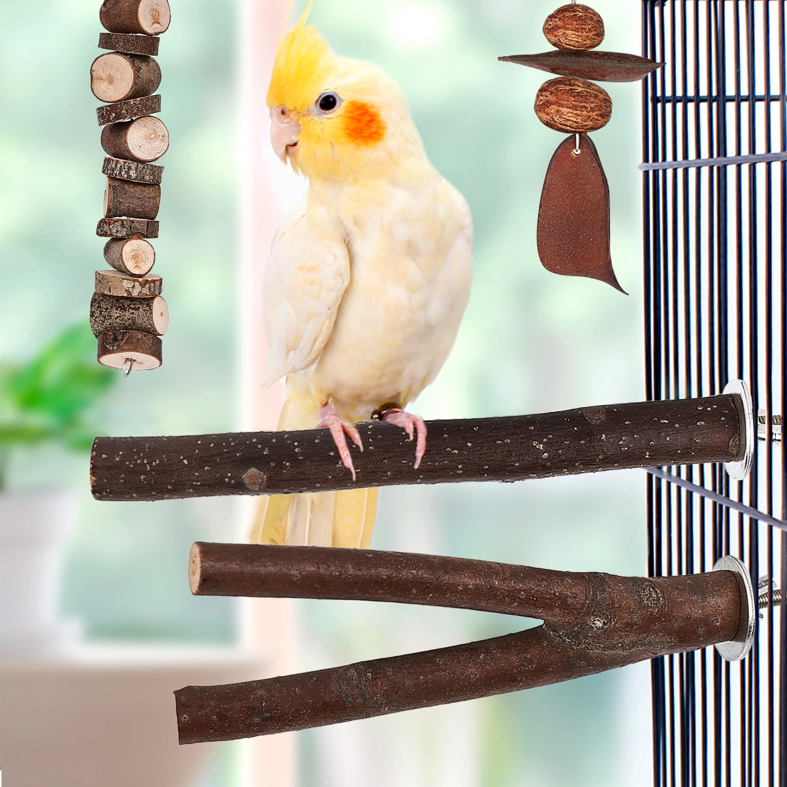 Posatoi per Uccelli, 8 Pz in Legno Naturale - Giocattolo per Pappagalli, Trespolo, Persico - Supporti per Cacatua, Cocorite, Fringuelli