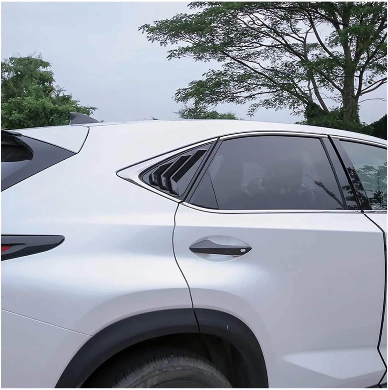 【中澤研一郎】作　ガラス工芸　熱帯魚　置物／ガラスケース付 中澤研一郎】作 ガラス工芸 熱帯魚 置物／ガラスケース付 中澤研一郎