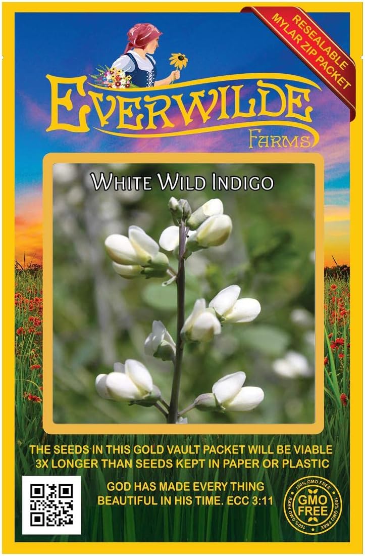 Everwilde Farms - 1/4 Lb White Wild Indigo Native Wildflower Seeds - Gold Vault