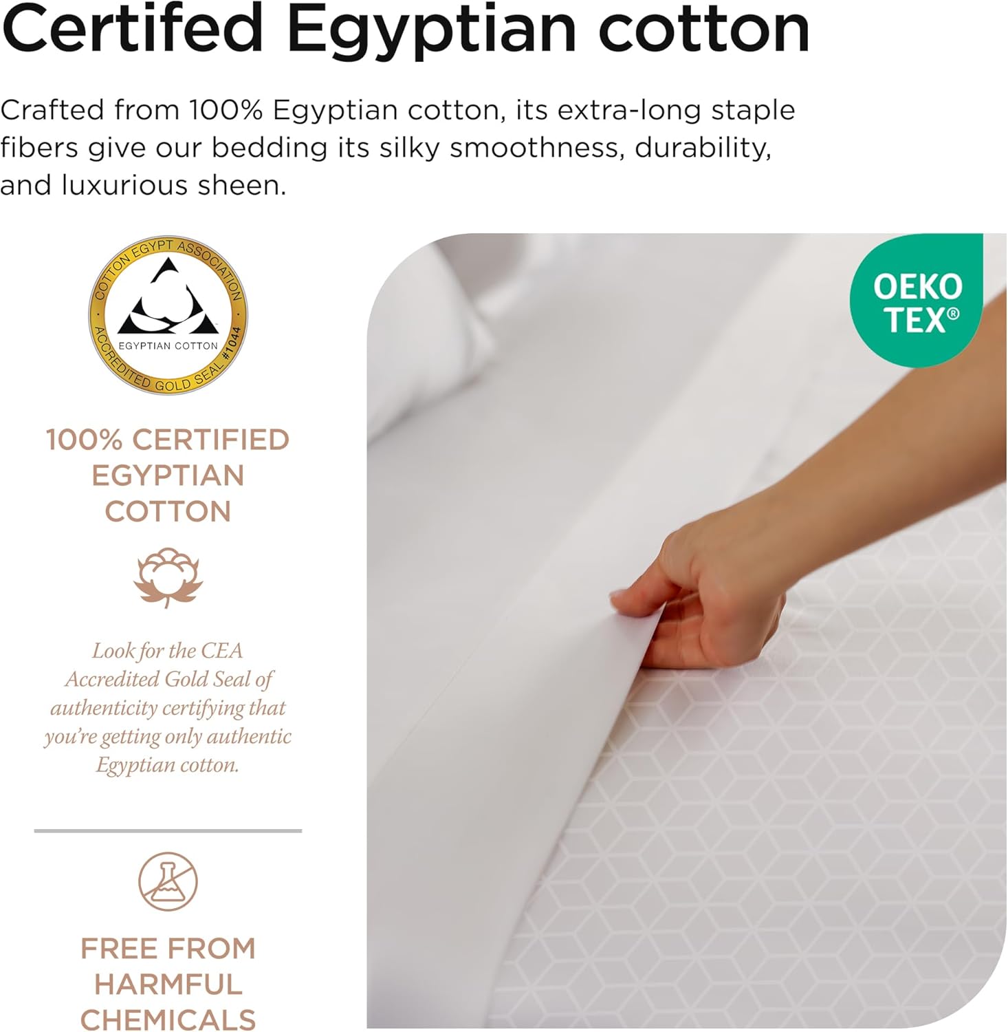 Threadmill Egyptian Cotton Queen Sheet Set | 100% Certified Egyptian Cotton Sheets for Queen Size Bed | Queen Bed Sheets Set Snug Fit Deep Pocket | Soft Cooling Damask Jacquard Bedding Set | White - Image 3