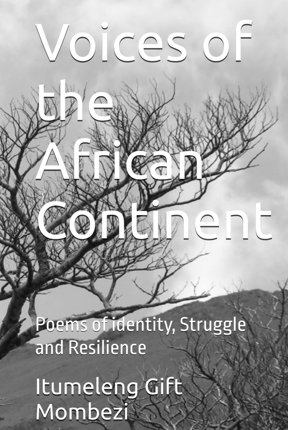 Voices of the African Continent: Poems of identity, Struggle and Resilience