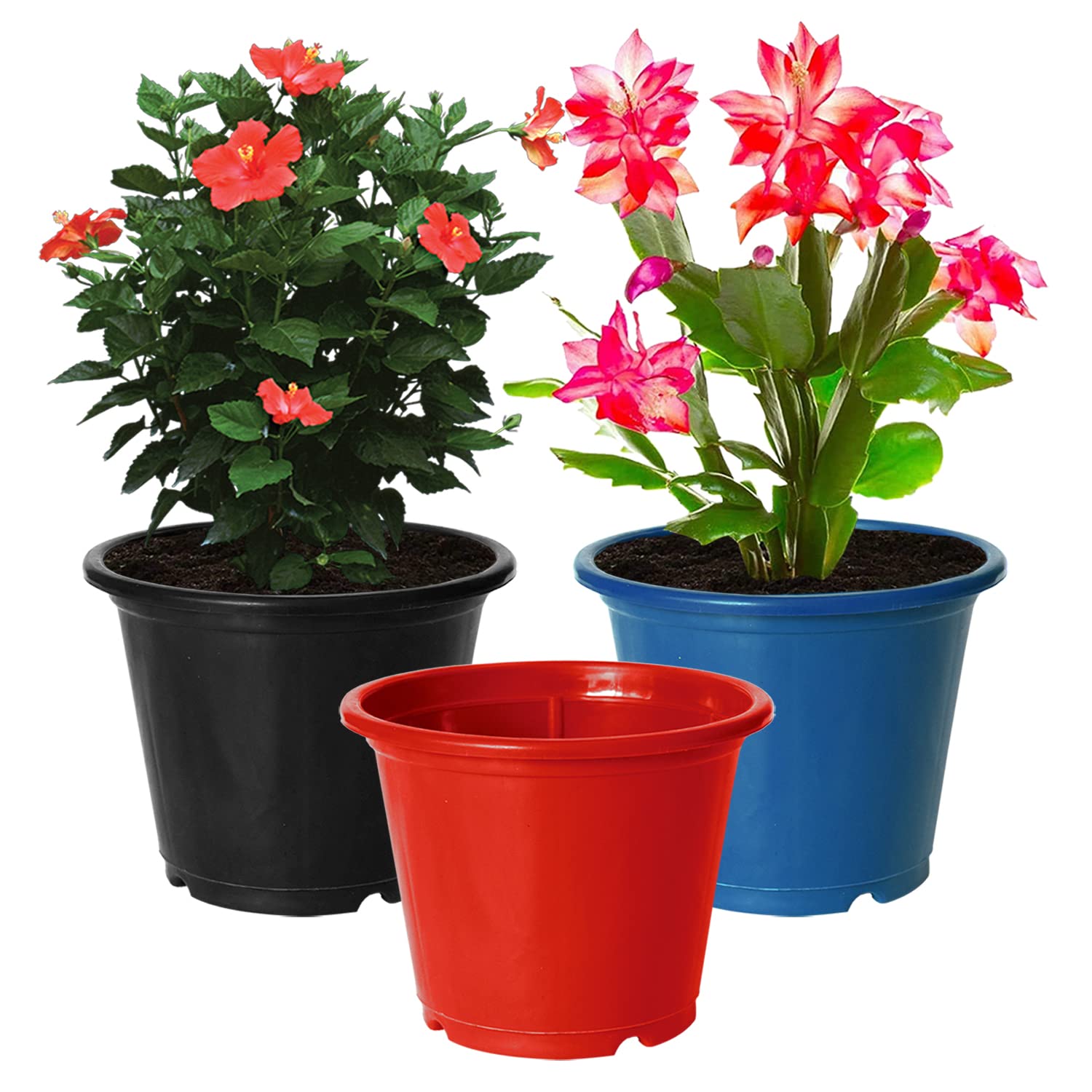 Kuber Industries Durable Plastic Flower Pot|Gamla for Indoor Home Decor & Outdoor Balcony,Garden,6"x5",Pack of 3 (Black,Blue,Red) (B0B69CN94S) Amazon Price History, Amazon Price Tracker