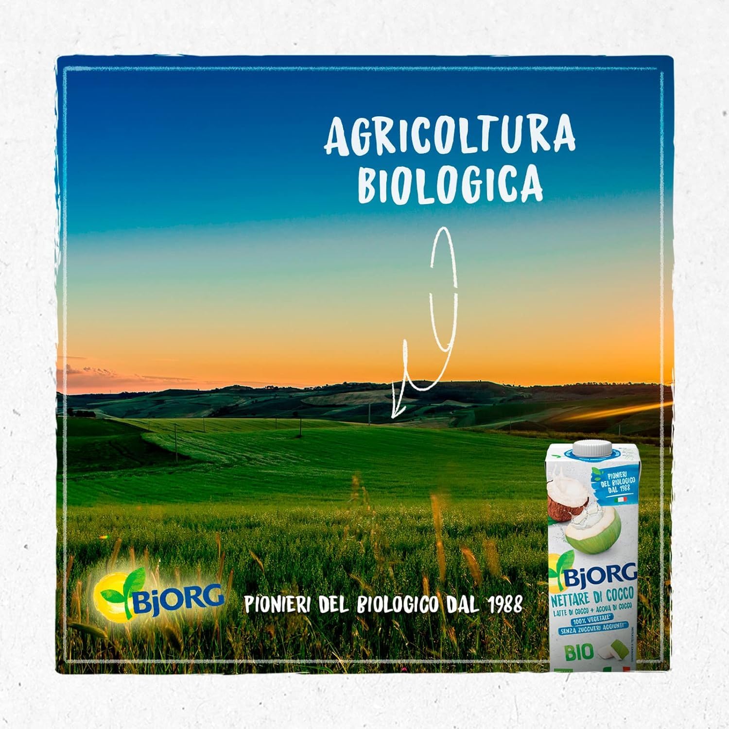 BJORG Bevanda Nettare di Cocco Biologica, Acqua di Cocco e Latte di Cocco, Bevanda Vegetale Senza Zuccheri Aggiunti, Senza Glutine, Vegan, Prodotto in Italia, 1L (Confezione da 9)