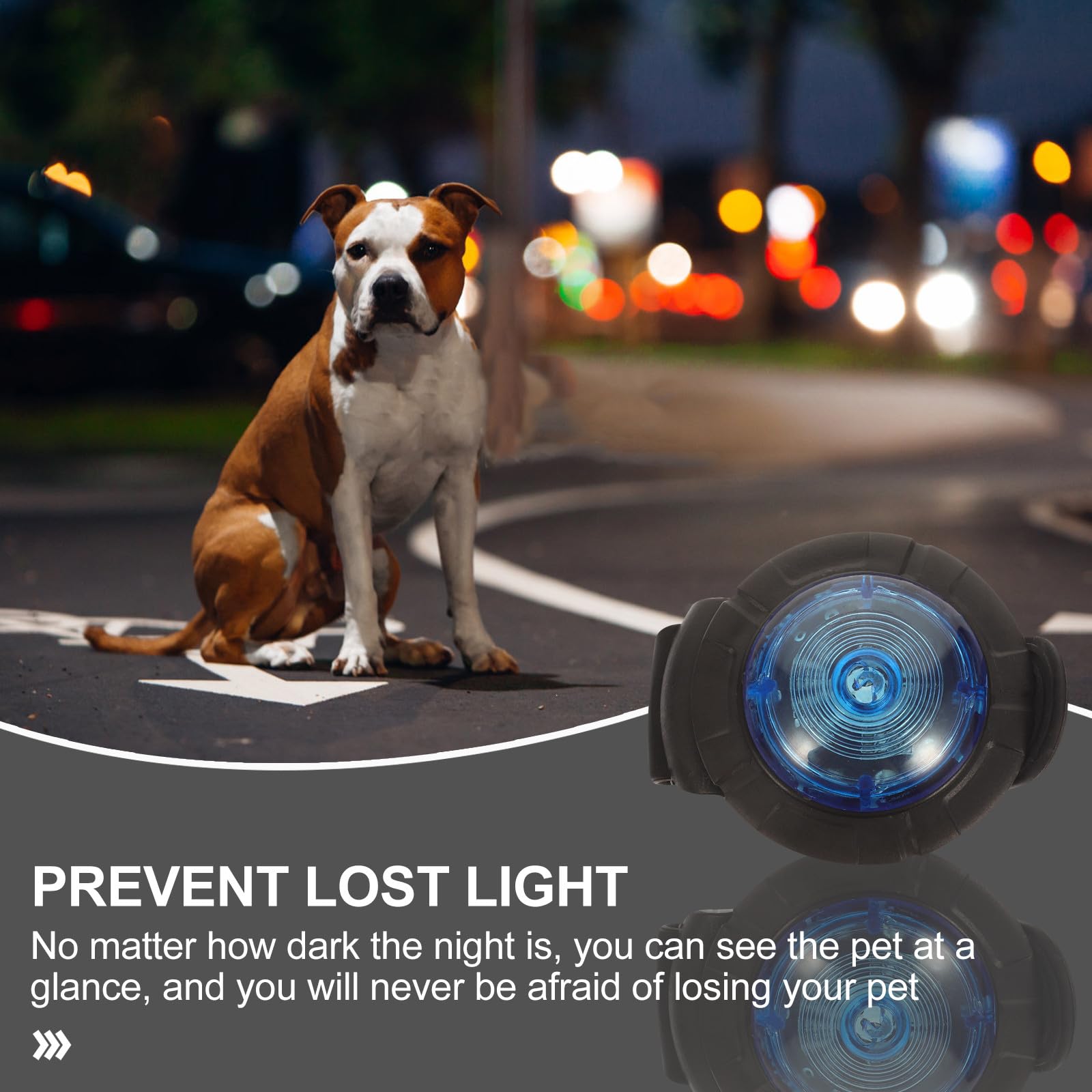 GARVALON Luce Portatile Ricaricabile per Cani Collare in Plastica Ipx8, per Passeggiate Notturne e Sicurezza del Tuo Cucciolo