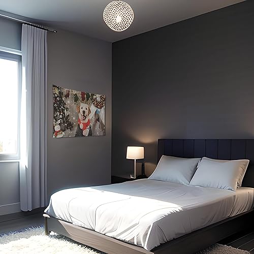 Miniatura 7 de Misnest Tapiz personalizado, fotos personalizadas, texto para el hogar, dormitorio, fiesta, sala de estar, telón de fondo, horizontal, 37 x 29