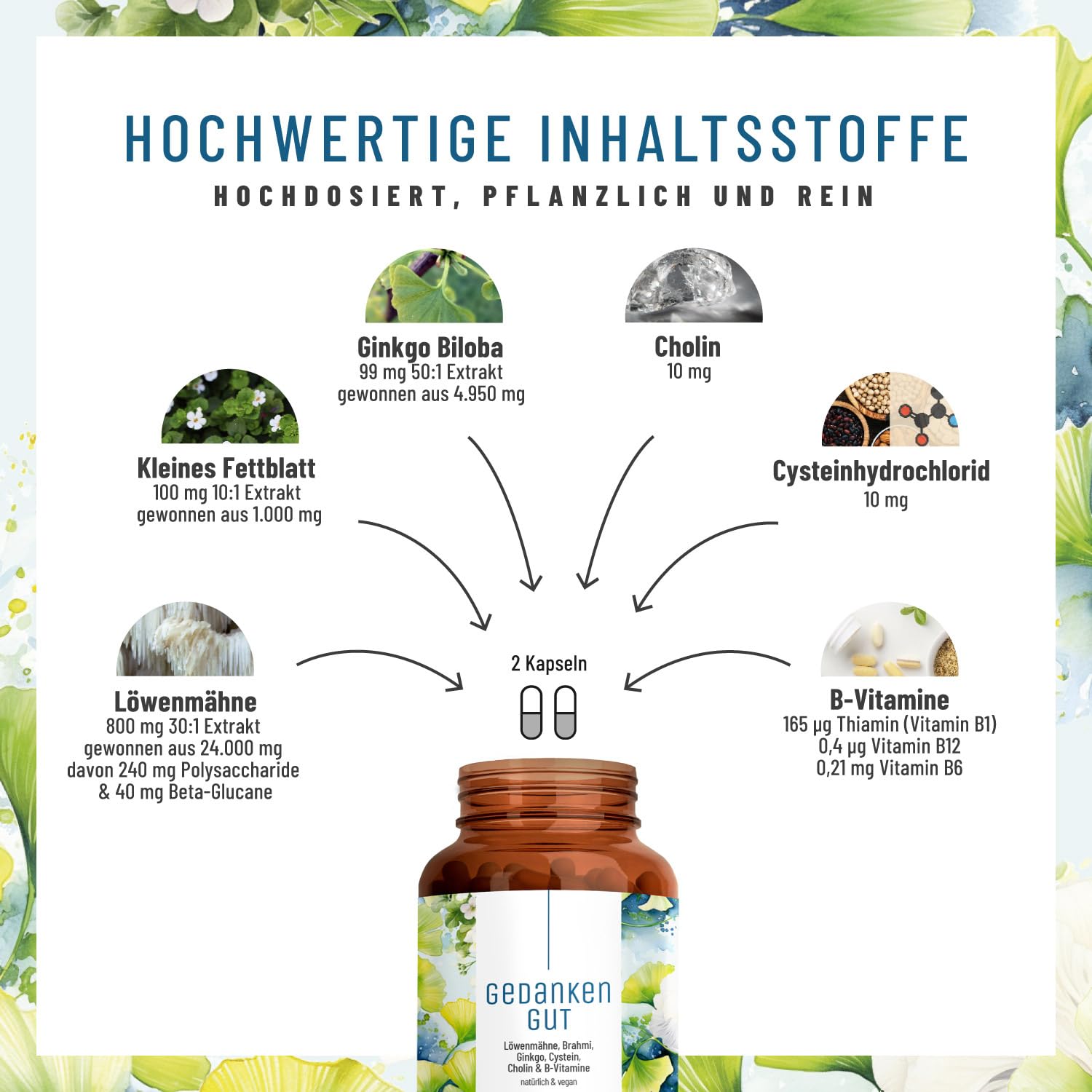 NATURTREU® Ginkgo-Biloba 50:1 & Löwenmähne Pilz Komplex - mit Brahmi-Extrakt Cholin & L-Cystein – 120 Kapseln vegan und hochdosiert mit 30% Polysaccharide und 5% Beta-Glucane