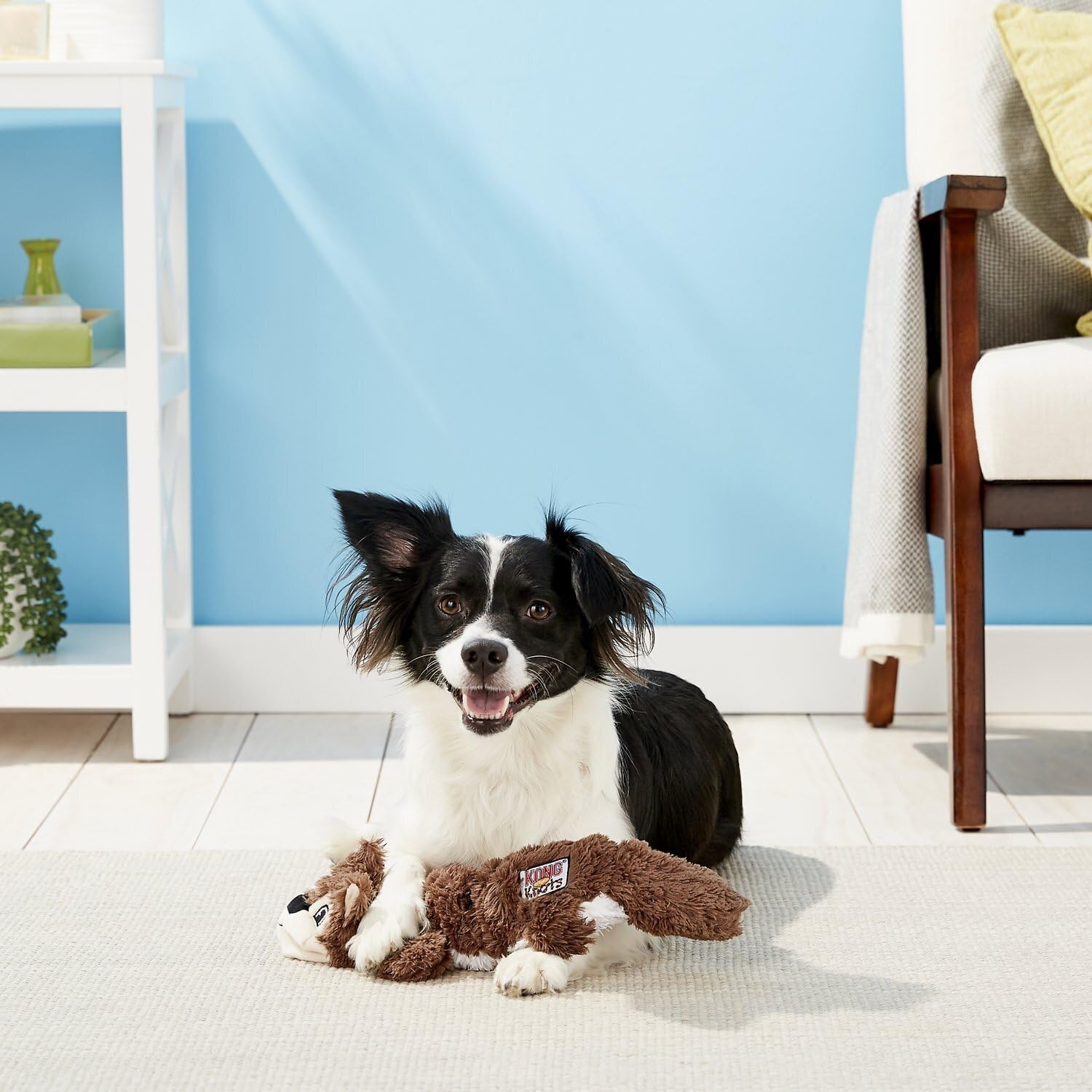 KONG Scrunch Knots Hundespielzeug, füllungsfreies Plüsch mit internen geknoteten Seilen & Quietscher, langlebiges Zerr- und Kauspielzeug (Eichhörnchen/Waschbär-Kombination, mittel/groß)