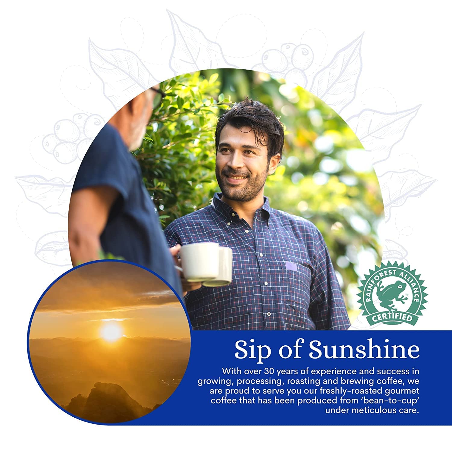 Cafe Blue 100% Jamaica Blue Mountain Coffee, Medium Roast, Coffee Pods for Hot and Cold Brew, 12 Count (Pack of 1) (12 Count (Pack of 2), 100% Jamaican Blue Mountain)