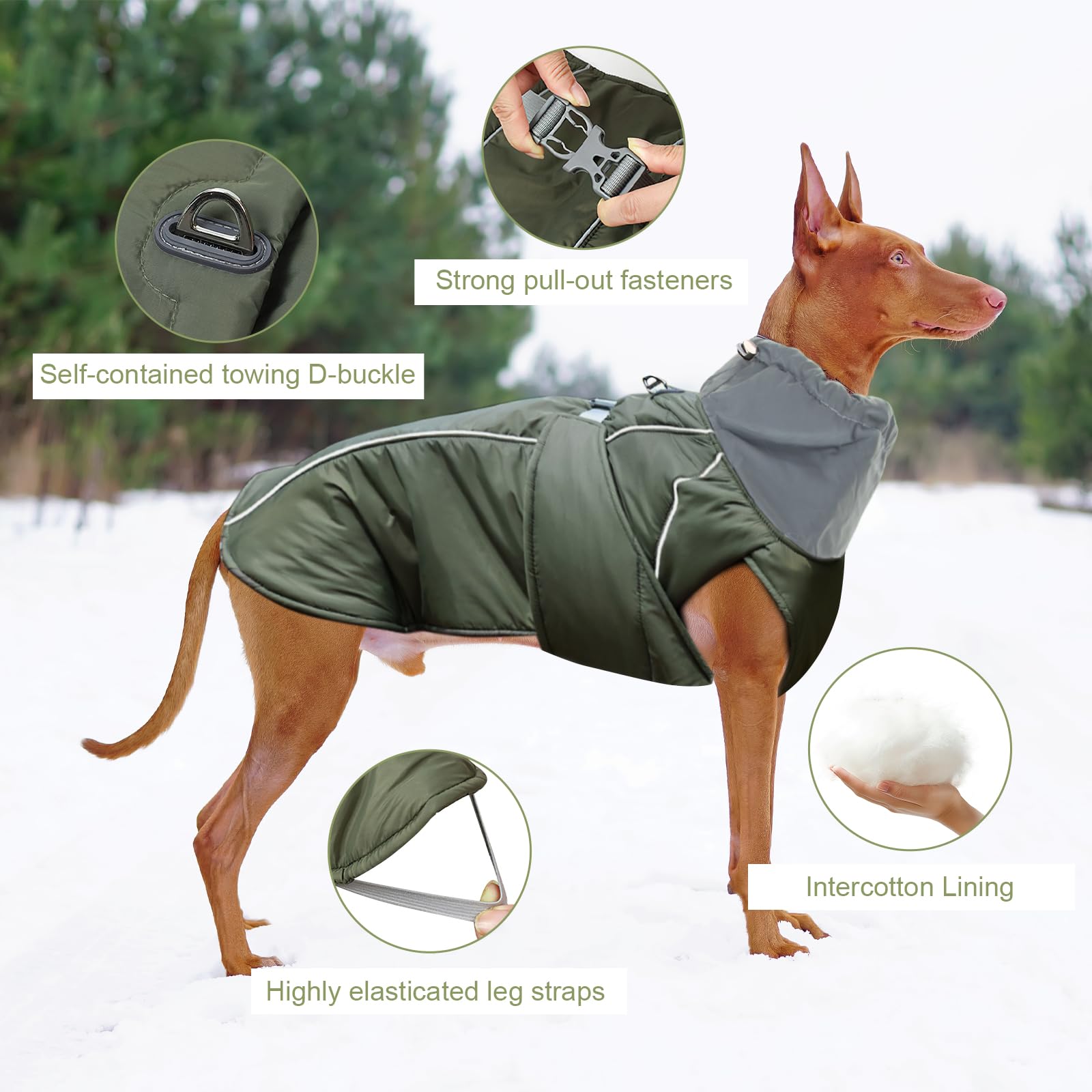 AnzeigeWasserdichte Hundemäntel | Hundemantel Mit Bauchschutz