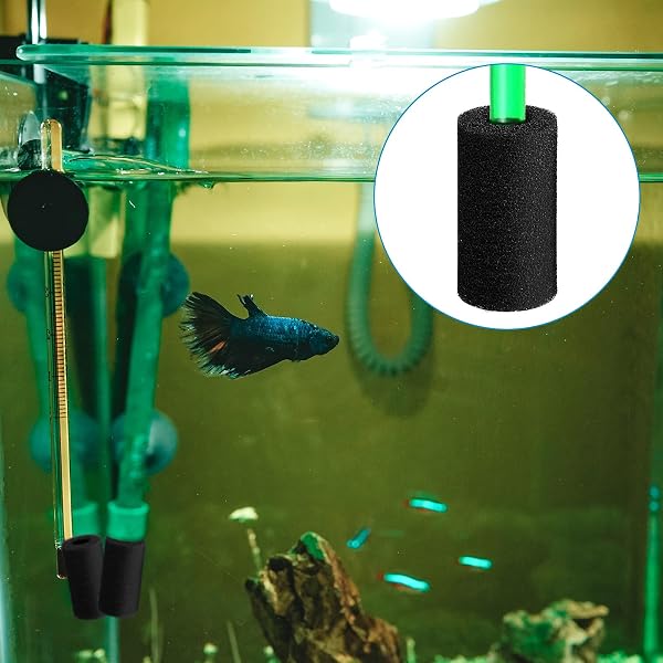 Lot de 12 éponges pré-filtrantes pour élevage de crevettes d'aquarium, ouverture d'aspiration de 2 cm, éponge filtrante d'aquarium, rouleau en mousse hautement poreuse comme housse de - 4