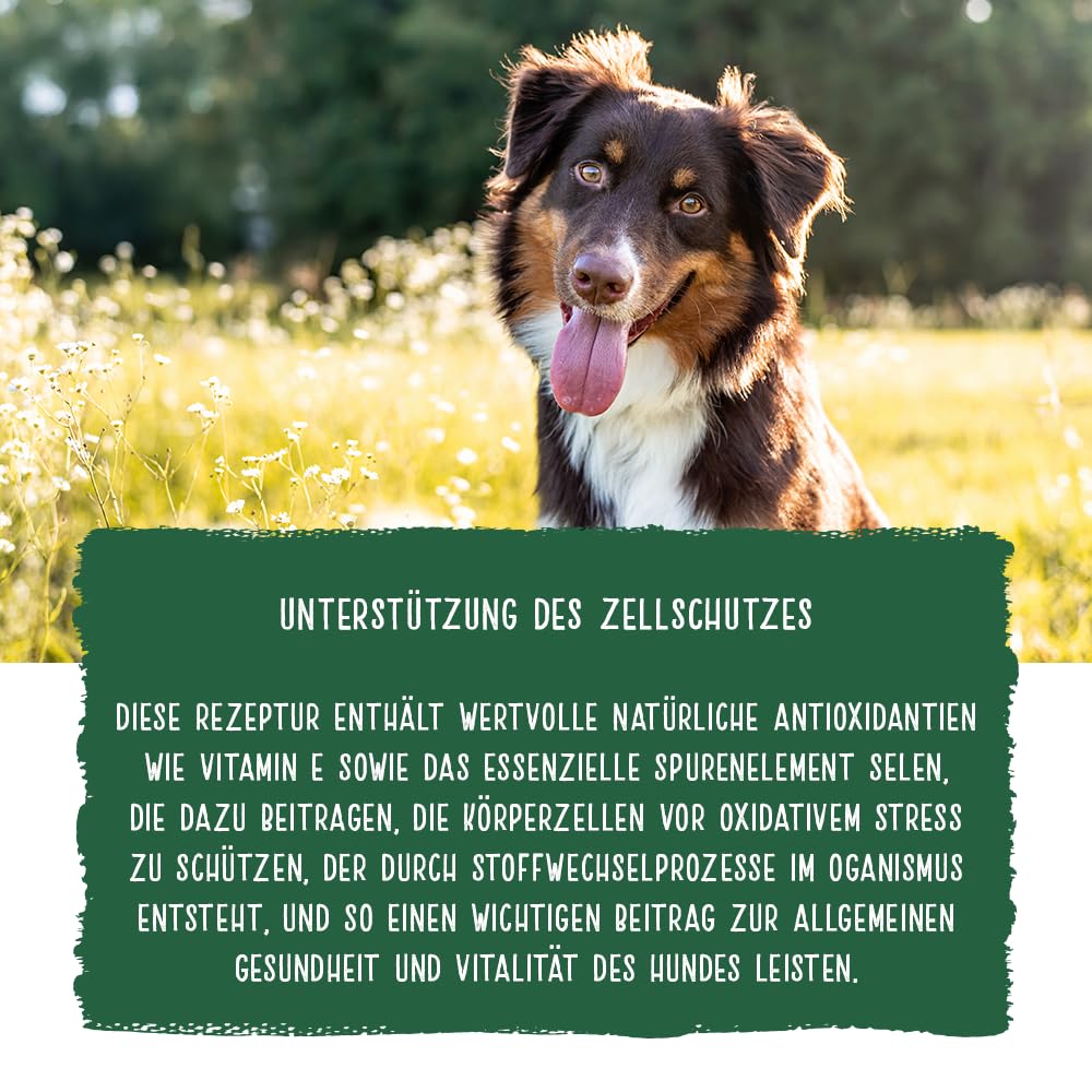Chicopee PNL Adult Lamb & Rice 20 kg sucha karma dla psów | by Bosch | karma dla psów | kanadyjska receptura | Made in Germany | marka firmy Bosch Tierpokarm