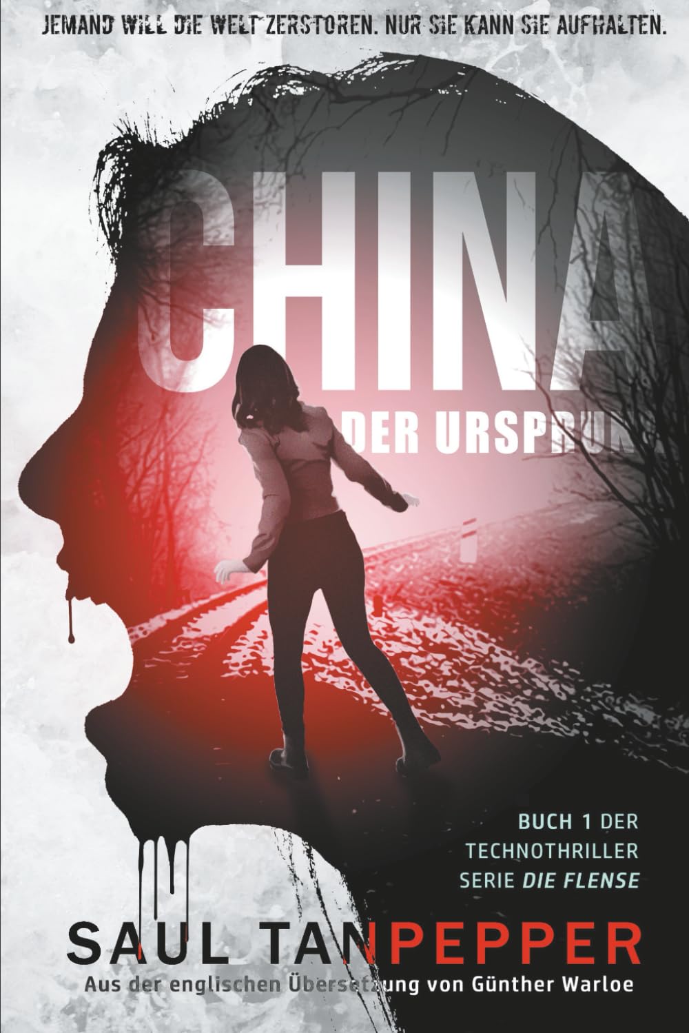 China - Der Ursprung: Ein apokalyptischer Techno-Thriller: 1 (DIE FLENSE – eine Serie aus der Welt von THE FLENSE)