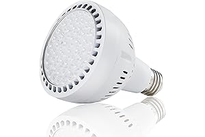LED 12V Pool Light Bulb: 5000LM Daylight Illumination