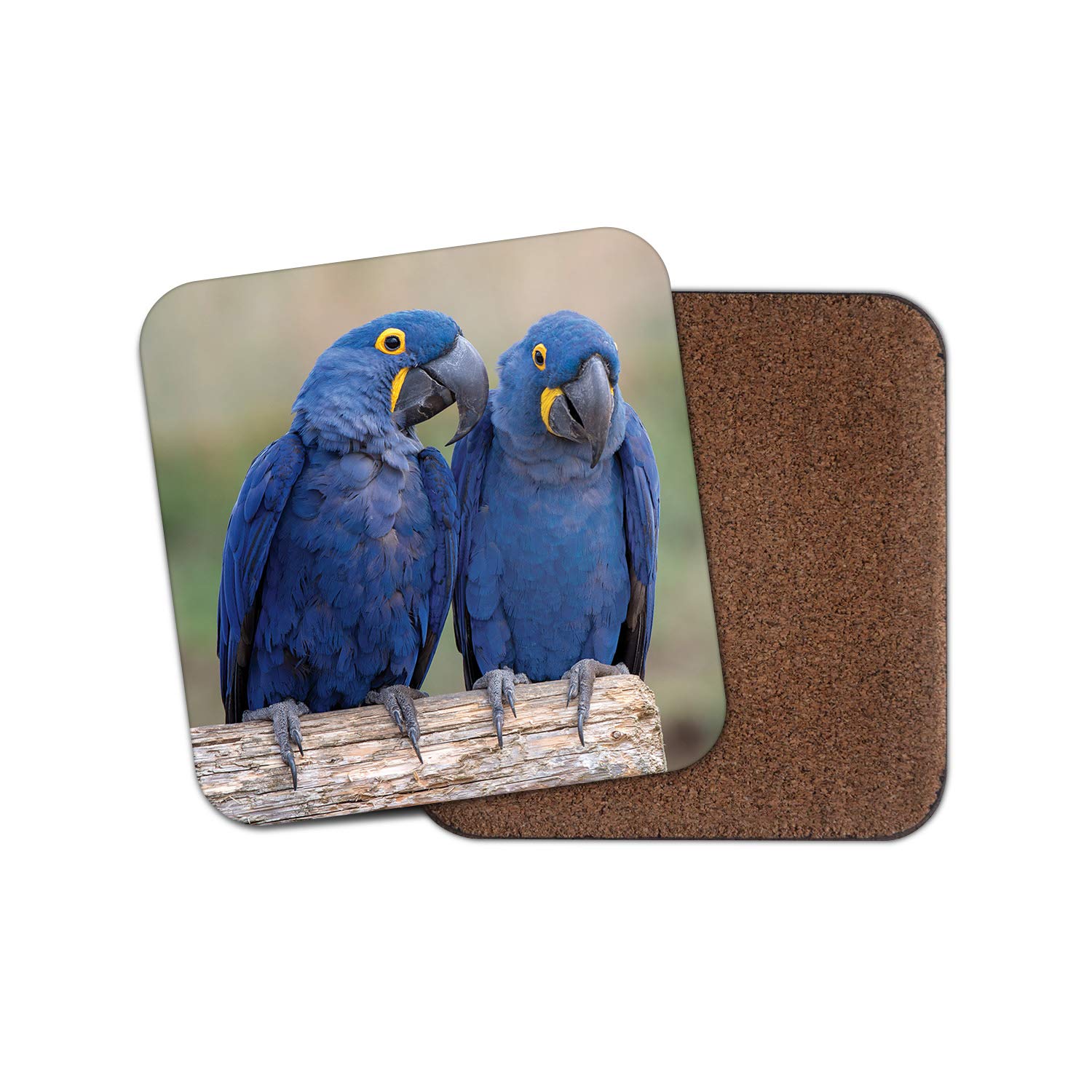 1 x Hyacinth Macaw Coaster - Bright Blue Bird Parrot Jungle Cute Love #12567