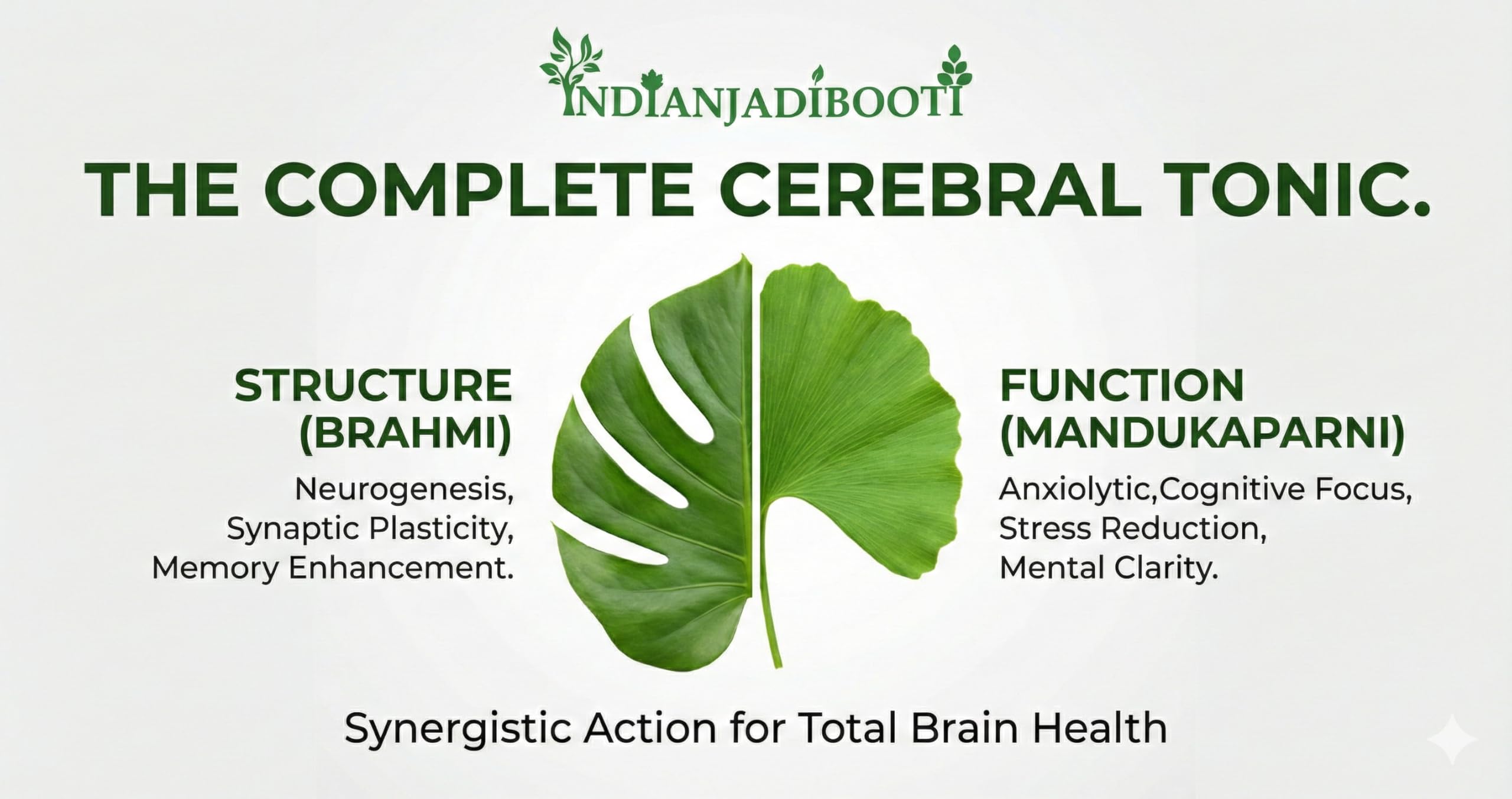IndianJadiBooti Medha-Smriti Memory Kit – Brahmi, Mandukaparni (Gotu Kola), Shankhpushpi, Vacha & Mulethi – 5-Herb Ayurvedic Nootropic for Recall, Retention & Brain Fog – Natural Student & Elder Tonic — Amazon image 9