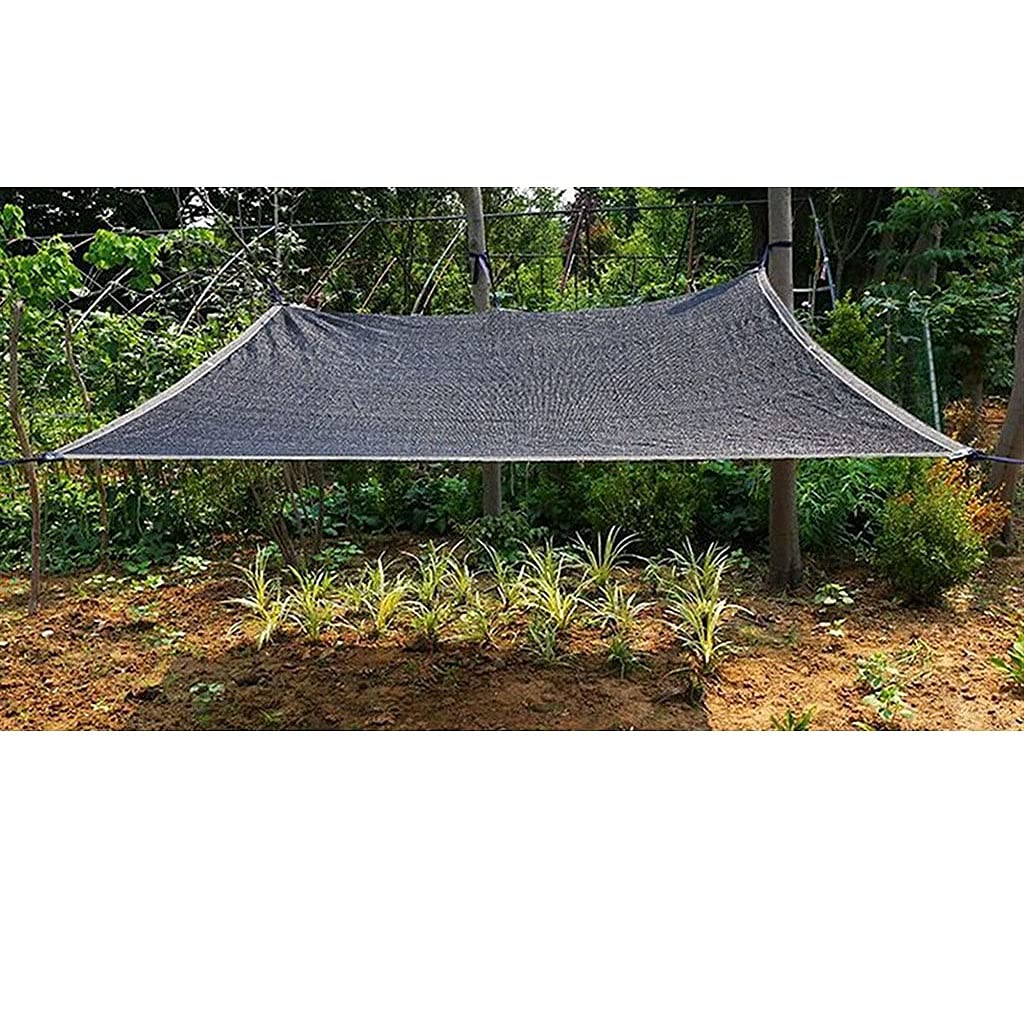 3pin 45% Shading Garden Sunshade Net, Farm Greenhouse Black Plants Cover, Home Roof Top Sun Shade Car Sun Shelter (Color : 2x3m)