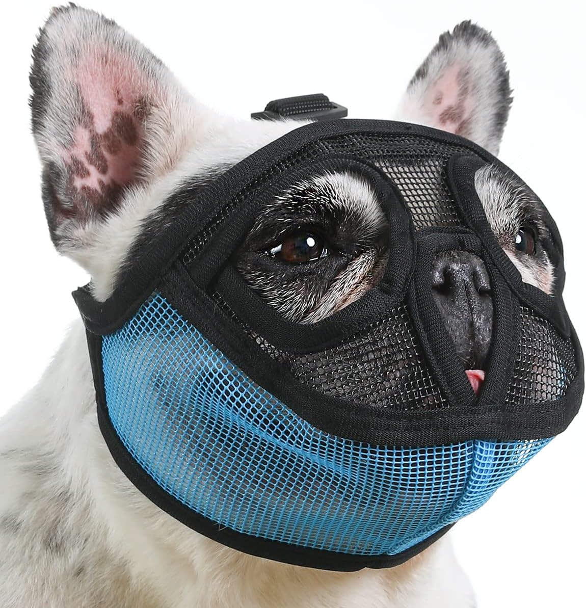 muzzle for shih tzu amazon