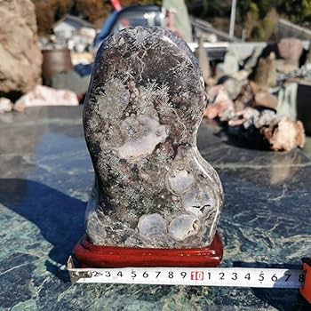 Amazon.co.jp: 石川県 白山紋石 1.6キロ 鑑賞石 石 置物 オブジェ