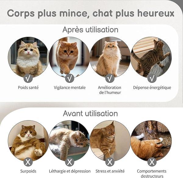 LEADZM Roue d'exercice pour Chat 80cm - Roue pour Chat pour 15 kg et Moins Chats - Connecteur de Rail en Plastique, résistant aux Rayures, Stable et Silencieux (Noir) - 4